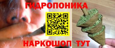 прущие грибы Ачхой-Мартан