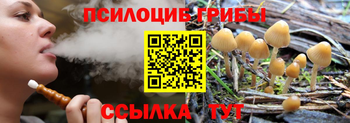 Галлюциногенные грибы мицелий Пыть-Ях